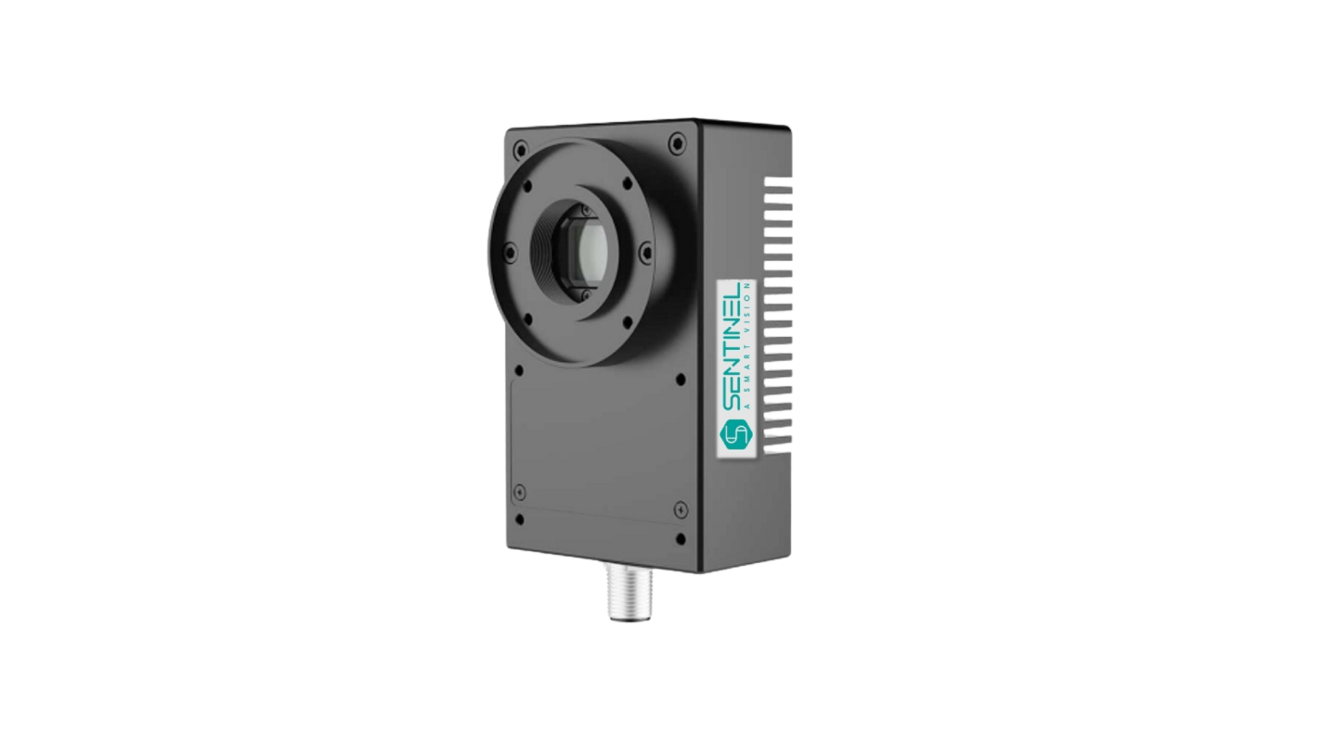 Sentinvel Vision Website